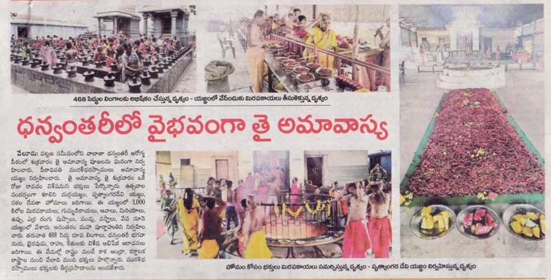 Thai Amavasi Maha Yagam at Sri Danvantri Peedam Walajapet
