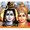 Swayamvara Parvathi Homam